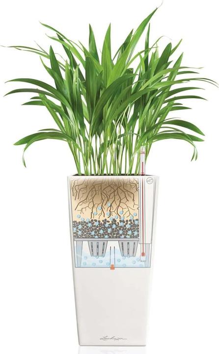 Image du produit Lechuza Cubico Color (39.50 cm)