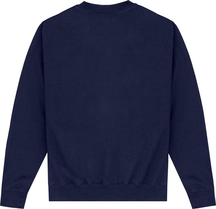 Actual product image Unisex Adult Gators Sweatshirt (S)