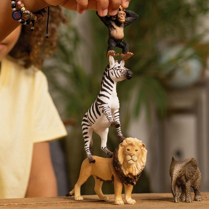 Actual product image Schleich Wild Life "Africa" Starter Set 42721