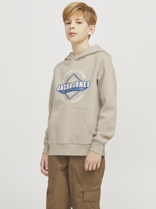Produktbild Jack & Jones JJELOGO SWEAT HOOD 2 COL 24/25 NOOS JNR (140)