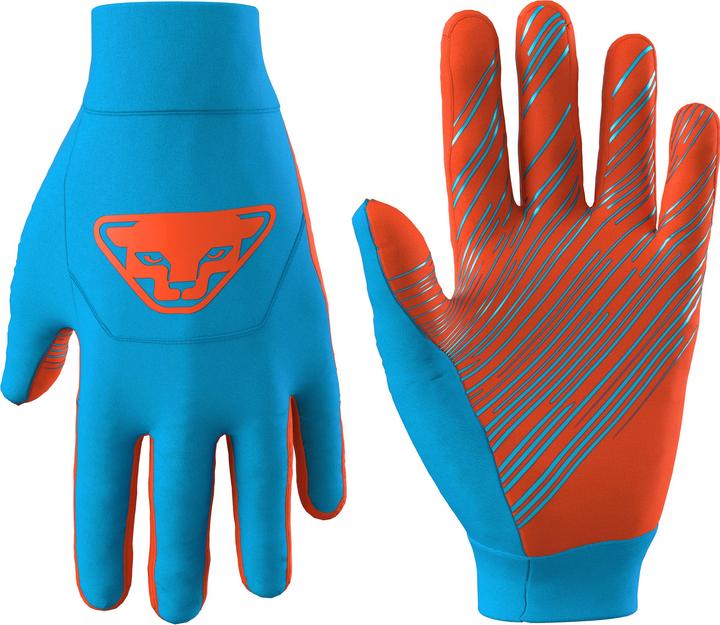 Dynafit Upcycled Thermal Handschuhe
