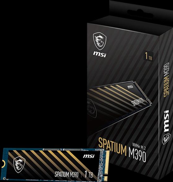 Actual product image MSI Spatium M390 (1000 GB, M.2 2280)