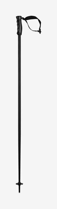 Produktbild Head Ski Pole Multi 2024 (125 cm)