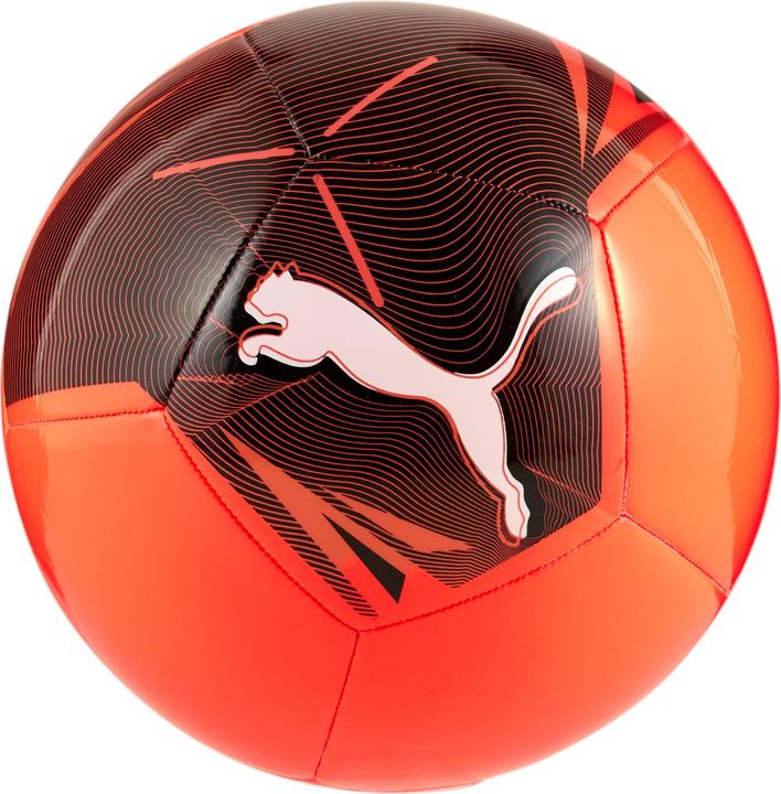 Produktbild Puma Big Cat