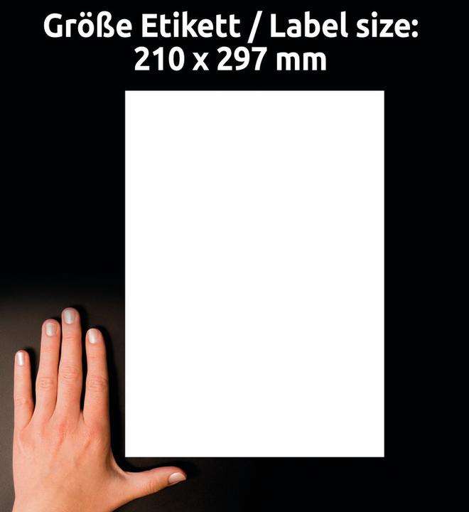 Immagine prodotto Avery etichette resistenti alle intemperie