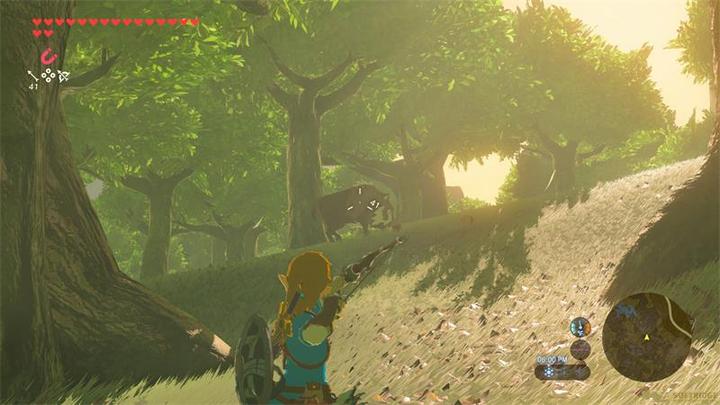 Actual product image Nintendo The Legend of Zelda: Breath of the Wild - Switch 2 Edition (Switch 2, DE, FR, IT)