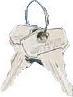 Actual product image Rittal System security key (pack of 2)