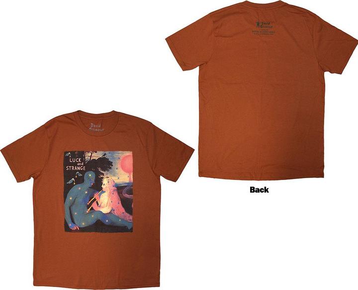 Produktbild David Gilmour Luck & Strange London 2 (L)