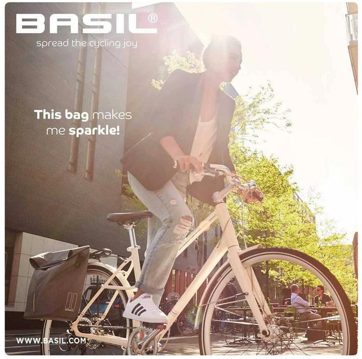 Actual product image Basil city shopper (16 l, Luggage carrier bag)
