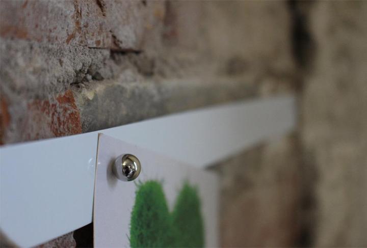 Actual product image Maul Neodymium ball magnet (4 x)