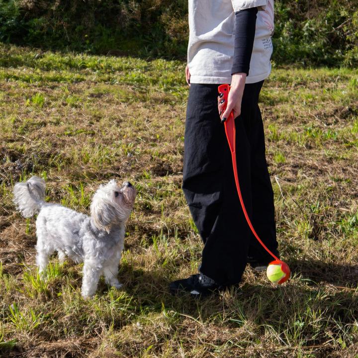 Actual product image Intirilife Dog Ball Slinger Ball Throwing Stick (Ball toy dog)
