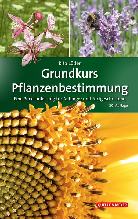 Produktbild Grundkurs Pflanzenbestimmung (Deutsch, Rita Lüder, 2022)