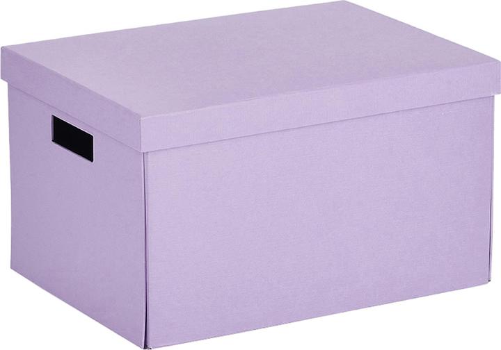 Immagine prodotto Zeller Present Scatola di stoccaggio 25x35x20 fly (25 x 35 x 20 cm)