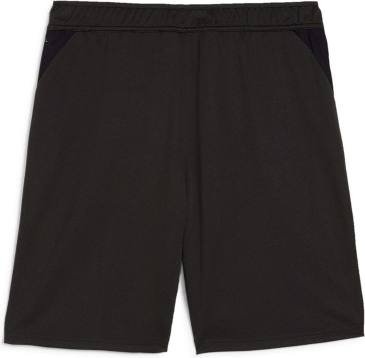 Actual product image Puma teamGOAL Training Short (L)