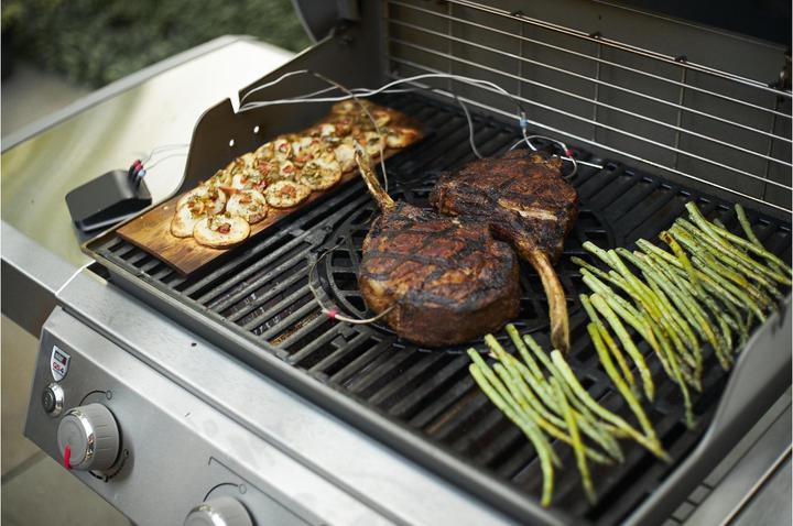 Actual product image Weber Connect Smart