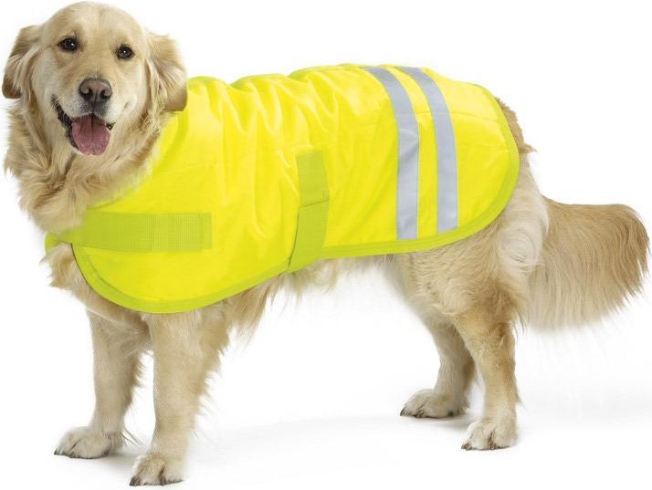 Image du produit Beeztees Bz Sg Manteau Pour Chien Teddie Reflets (S, Manteau pour chien)