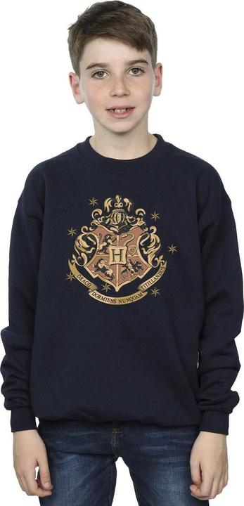 Actual product image Boys Gold Hogwart Crest Sweatshirt (128)