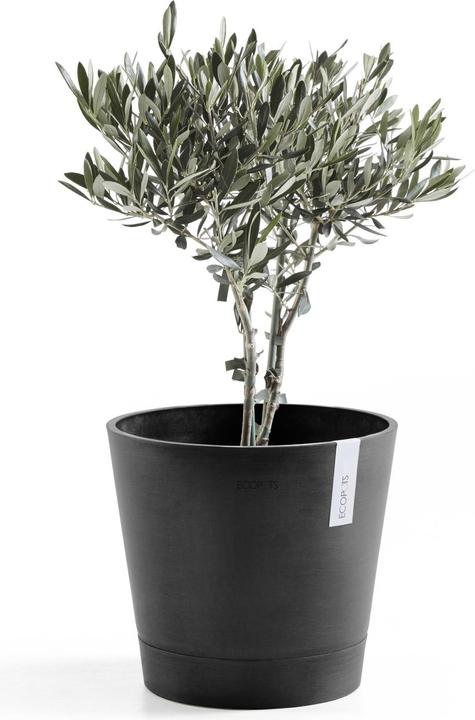 Immagine prodotto Ecopots Venezia (30 cm)