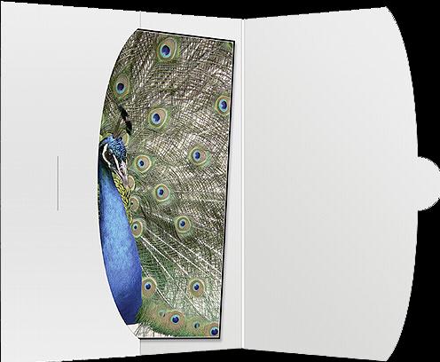 Productafbeelding Daiber 1x50 stofomslag tot 15x20 (15 x 20 cm)