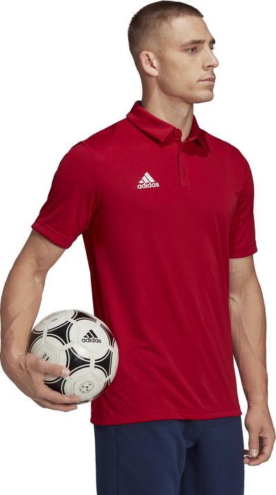 Image du produit adidas Polo Entrada 22 Hommes (XS)