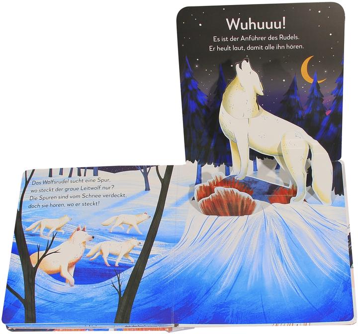 Actual product image My pop-up book to marvel at. Animals in ice and snow (German)