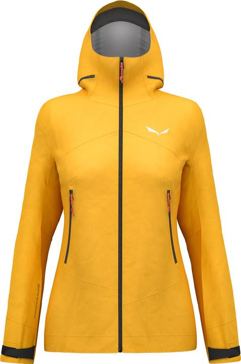 Immagine prodotto Salewa GIACCA ORTLES GTX 3L Donna (34, XS)