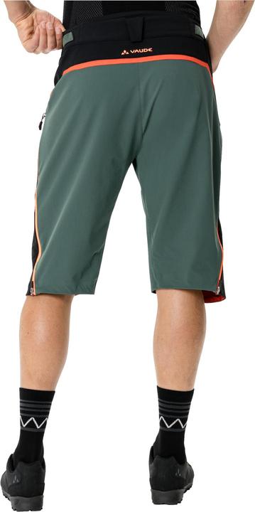 Image du produit Vaude Men' Moab Shorts IV (L)