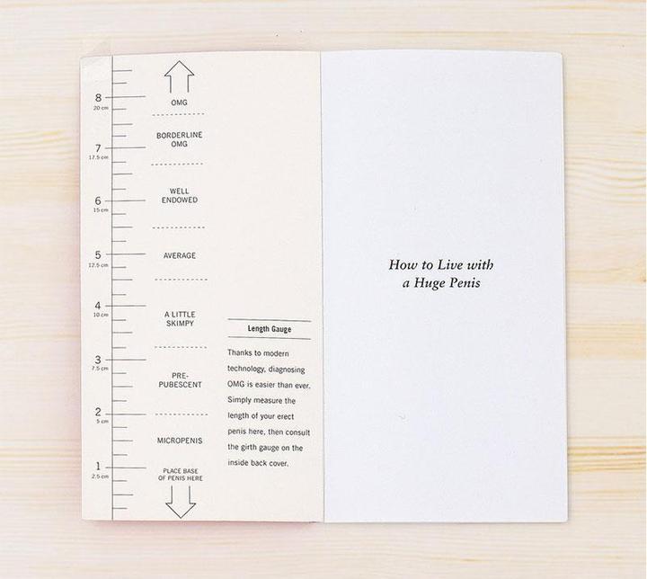 Produktbild How to Live with a Huge Penis (Englisch, Richard Jacob, Owen Thomas, 2009)