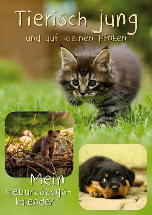 Geburtstagskalender Tierisch jung (A4, Deutsch)
