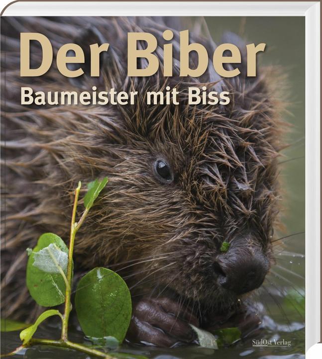 Immagine prodotto Der Biber (Tedesco, Volker Zahner, Christof Angst, Gerhard Schwab, Markus Schmidbauer, 2021)