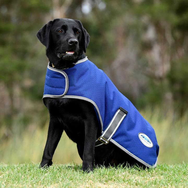 Actual product image Weatherbeeta ComFiTec Premier Free Parka (35, Dog coat)
