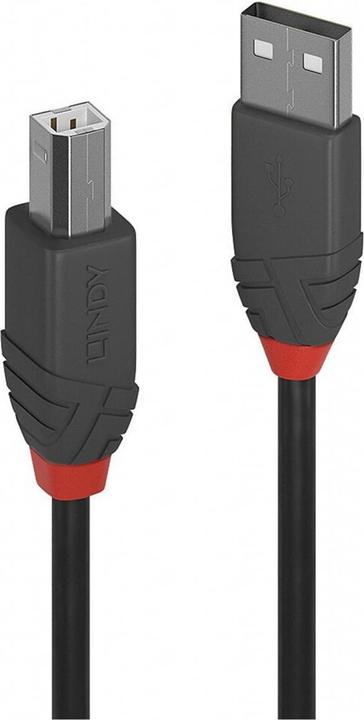 Actual product image Lindy Anthra Line (0.20 m, USB 2.0)