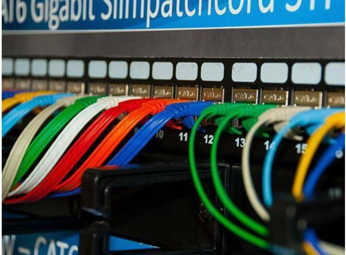 Actual product image Wirewin Network cable (F/FTP, CAT6, 1.50 m)