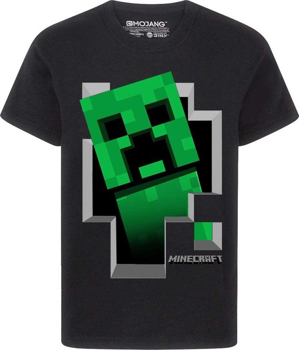Actual product image Minecraft Inside Tshirt Boys (146, 152)