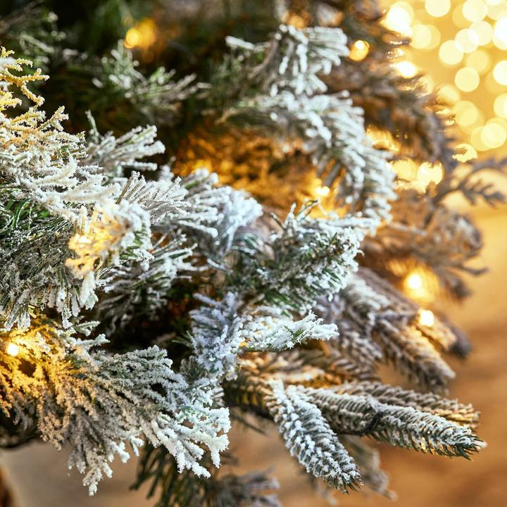 Actual product image Loberon Christmas tree Cadelise green/white (180 cm)