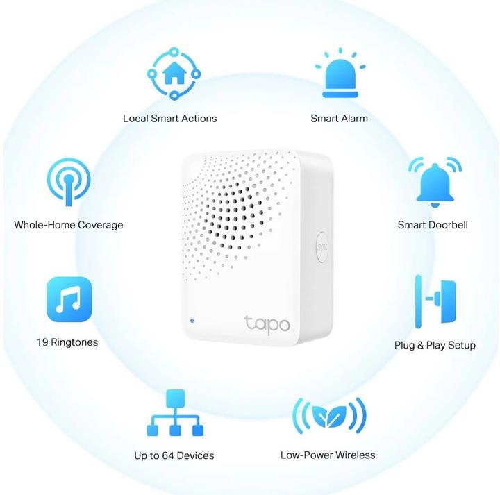 Actual product image TP-Link Tapo H100