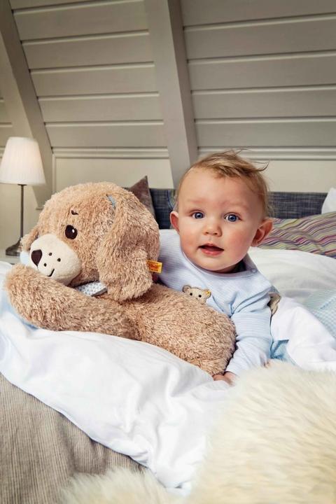 Actual product image Steiff Good-Night Dog