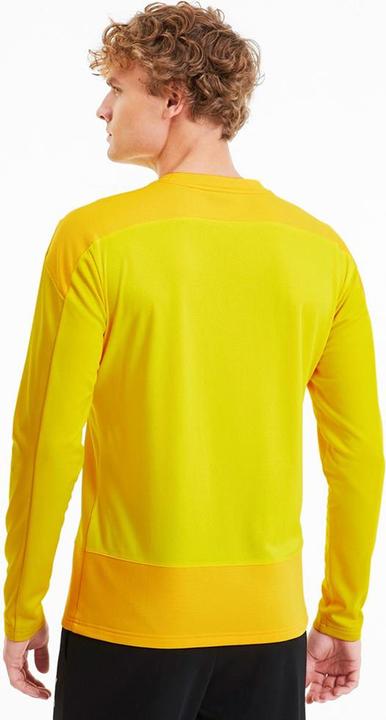Actual product image Puma teamGOAL 23 Training Sweat-656478 (50 E)