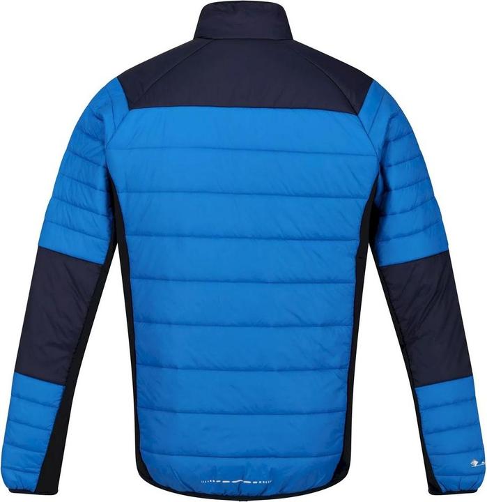 Actual product image Regatta Halton VI softshell jacket (3XL)