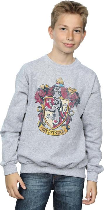 Produktbild Boys Gryffindor Sweatshirt (140, 146)