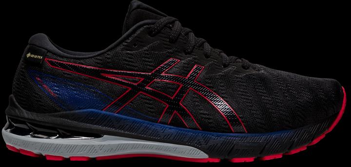 ASICS Performance GT-2000 10 (44)