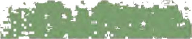 Immagine prodotto Schmincke Pastello Verde Foglia 1 072 D (Verde foglia)