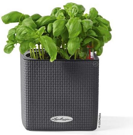 Produktbild Lechuza Cube (17 cm)