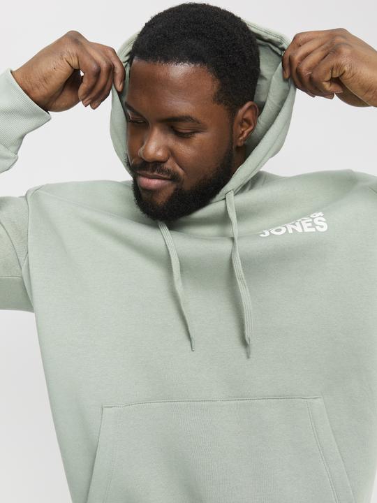 Image du produit Jack & Jones Jjecorp Logo Sweat Hood Noos Pls (4XL)