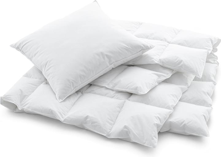 Image du produit Swiss Dream by billerbeck Support de cassette CLC 90 (650 g, 160 x 210 cm)