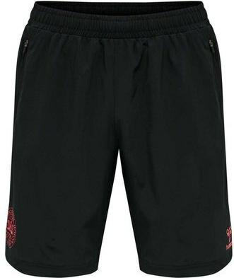 Actual product image hummel Short Danemark travel (L)