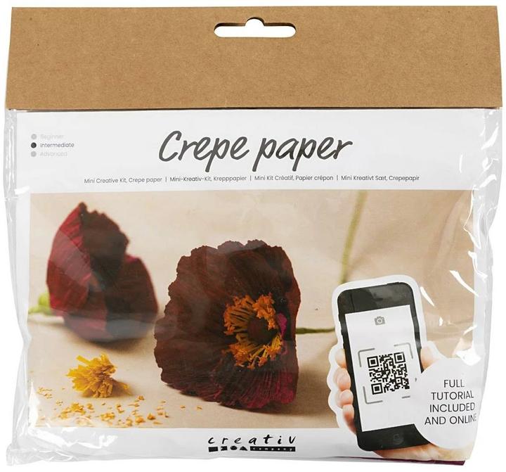 Image du produit Creativ Company Mini kit de bricolage papier crépon (105 g/m², 1.10 x)