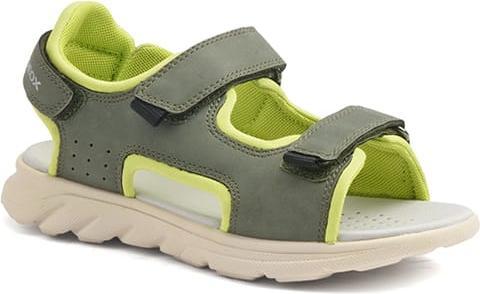Geox 3823998