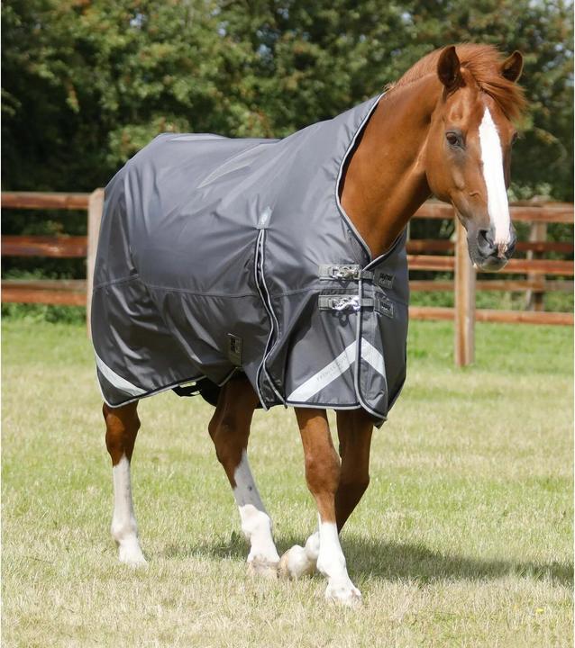 Immagine prodotto Premier Equine Buster Hardy 0 g (213 cm)
