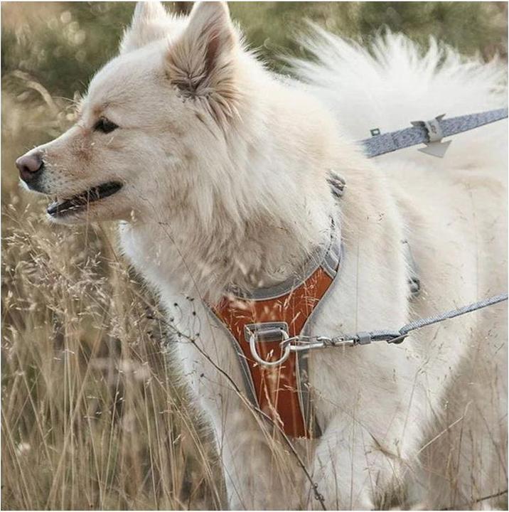 Produktbild Hurtta Geschirr Venture No-Pull, 40-45, Blau (40, 41, 42, 43, 44, 45, Hund, Hundesport)